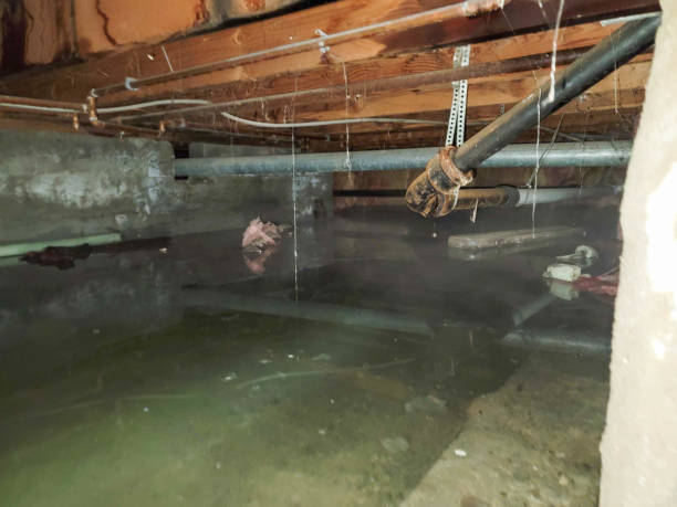 Best Water damage cleanup near me  in Beattystown, NJ
