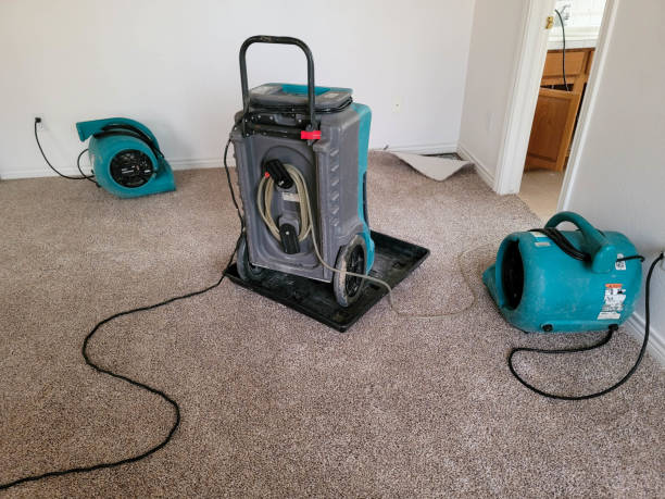 Best Water damage restoration near me  in Beattystown, NJ