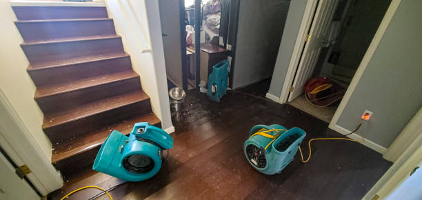 Best Basement water damage restoration  in Beattystown, NJ