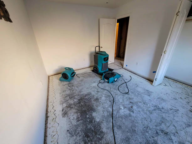 Best Professional water damage repair  in Beattystown, NJ