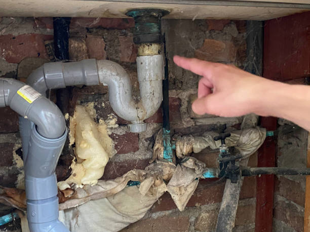 Best Mold removal after water damage  in Beattystown, NJ